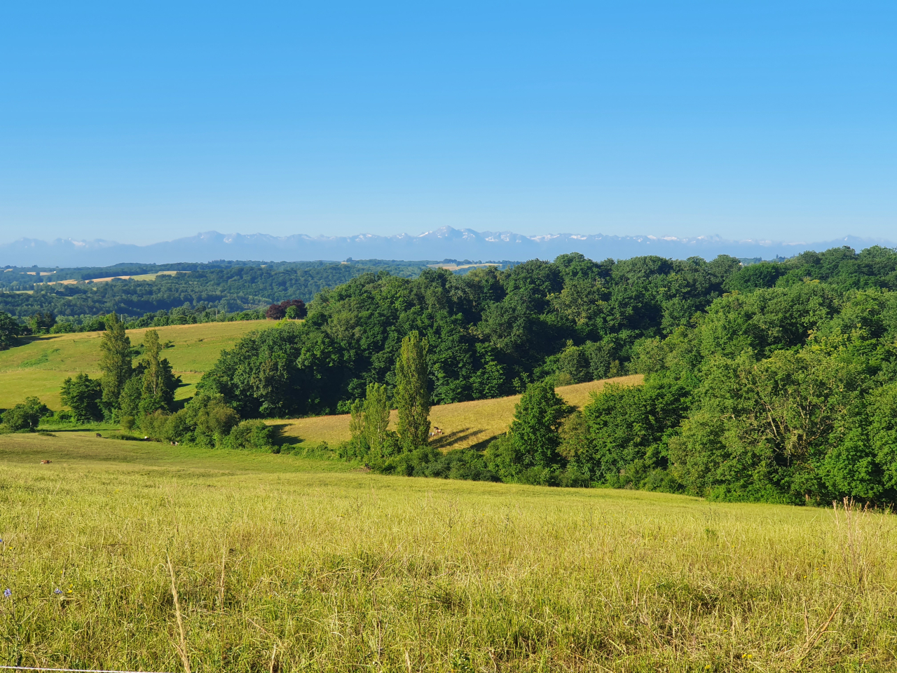 Paysage campagne nature