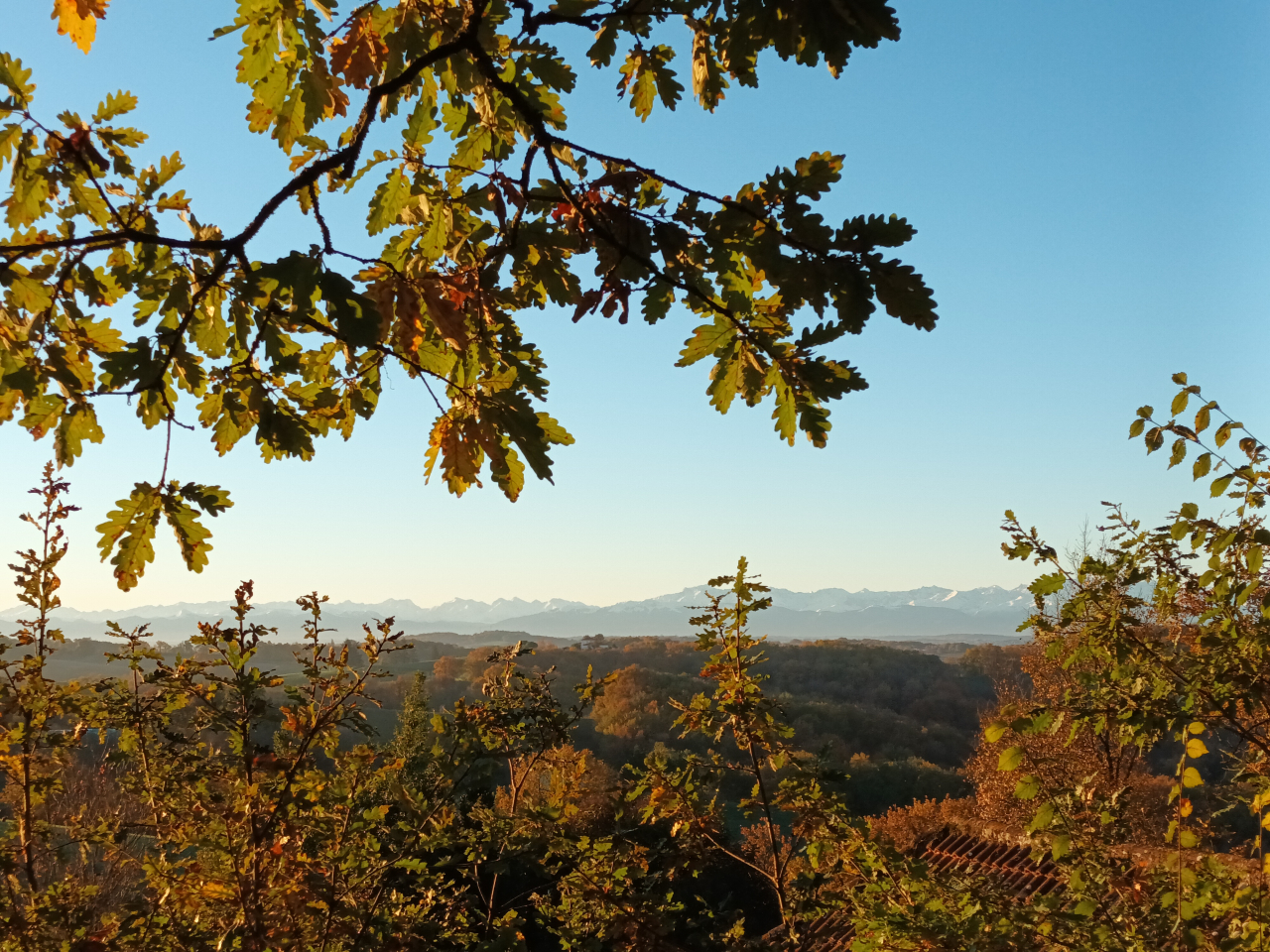 saint-Maur automne vue paysage